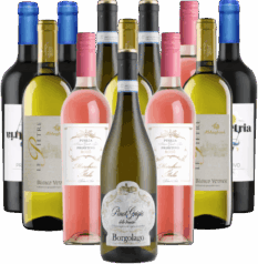 Die Bodega Lieblinge - Weinpaket Italien 12er Angebot