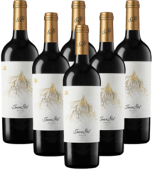 Juan Gil Raíces Tinto 6er Weinpaket Jumilla Spanien