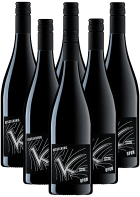 Kesselring Opum Rotwein trocken 6er Weinpaket 2023 Pfalz BIO Vegan