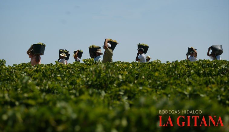 Bodegas Hidalgo La Gitana