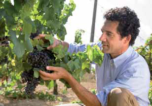 Les Domaines Paul Mas