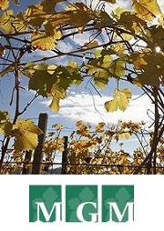 MGM Mondo del Vino
