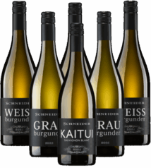 Markus Schneider Weißwein Probierpaket Pfalz 6er Angebot