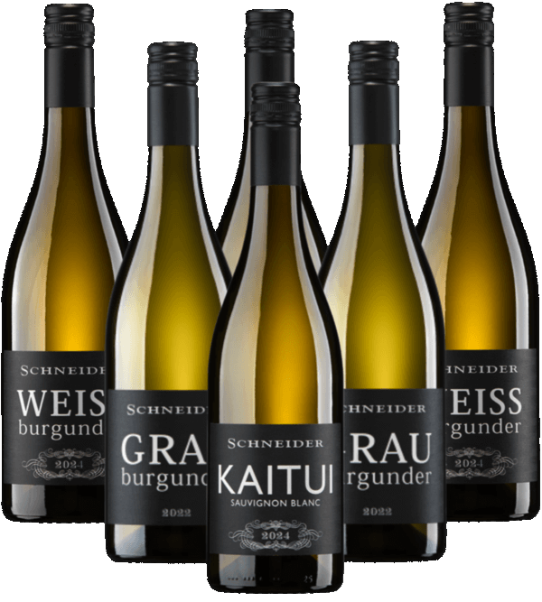 Markus Schneider Weißwein Probierpaket Pfalz 6er Angebot Markus Schneider Weißwein Probierpaket Pfalz 6er Angebot