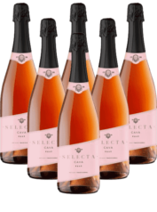 Masachs Rosé Cava Selecta Spanien 6er Angebot