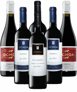 Ochoa Probierpaket Barrique Rotwein aus Spanien 6er Angebot