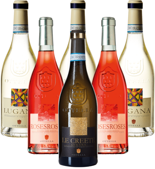 Ottella Lugana Probierpaket Gardasee Italien 6er Angebot Ottella Lugana Probierpaket Gardasee Italien 6er Angebot
