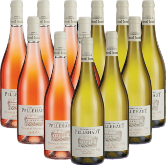 Pellehaut Blanc & Rosé Probierpaket Gascogne Frankreich 12er Angebot Pellehaut Blanc & Rosé Probierpaket Gascogne Frankreich 12er Angebot