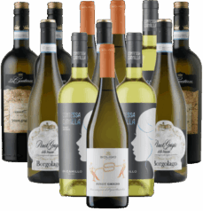 Pinot Grigio Probierpaket Weißwein Italien 12er Angebot