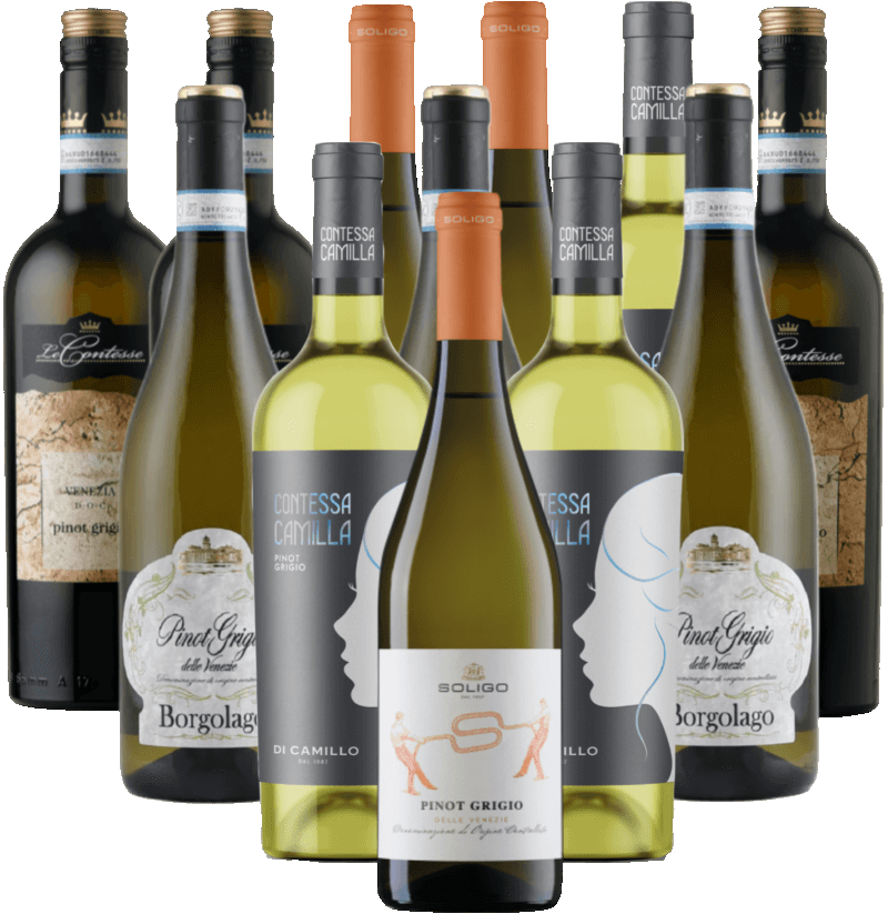 Pinot Grigio Probierpaket Weißwein Italien 12er Angebot Pinot Grigio Probierpaket Weißwein Italien 12er Angebot
