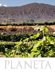 Planeta Vini