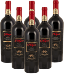 Poggio Lauro Alchymia Primitivo 6er Weinpaket Puglia Italien