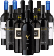 Primitivo Probierpaket Salento di Puglia Italien 12er Angebot