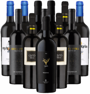 Primitivo Probierpaket Salento Rotweine Italien 12er Angebot