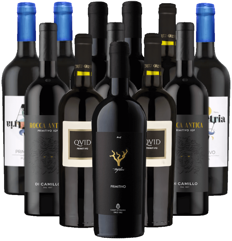 Primitivo Probierpaket Salento di Puglia Italien 12er Angebot Primitivo Probierpaket Salento di Puglia Italien 12er Angebot
