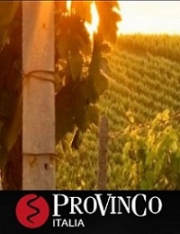 Provinco Italia