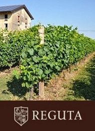 Reguta Giuseppe e Luigi