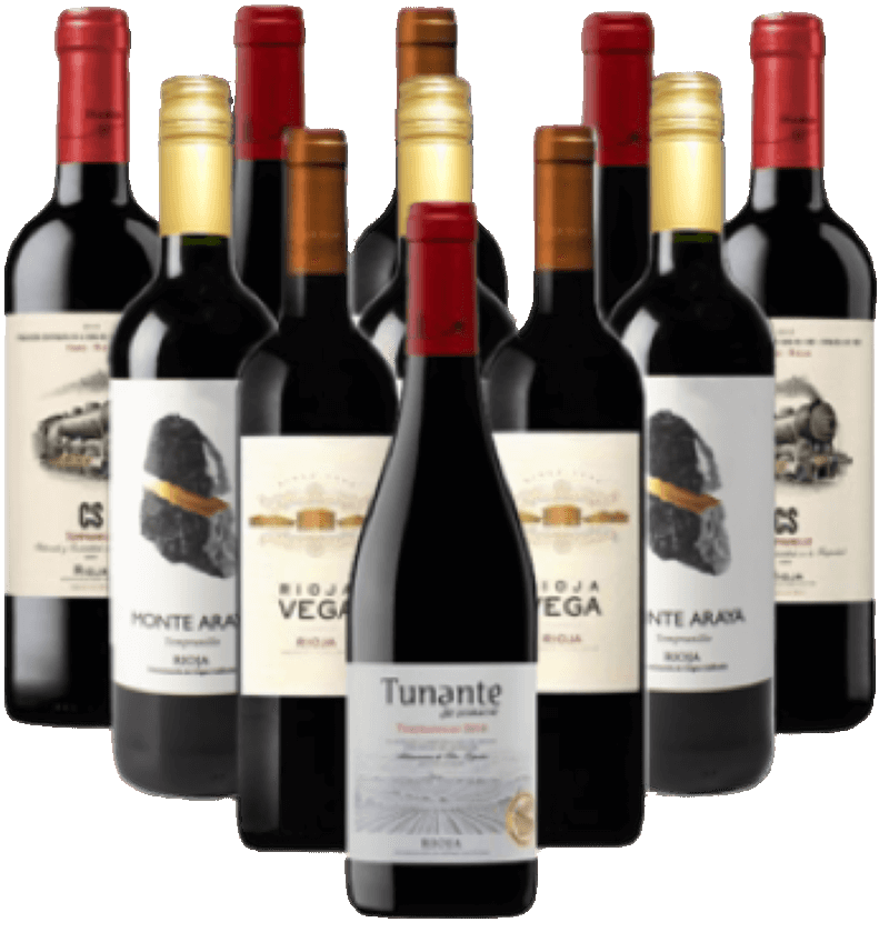 Rioja Probierpaket Tempranillo Tintos aus Spanien 12er Angebot