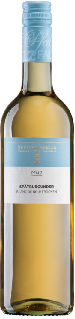 Ruppertsberger Spätburgunder Blanc de Noir trocken QW 2025 Pfalz
