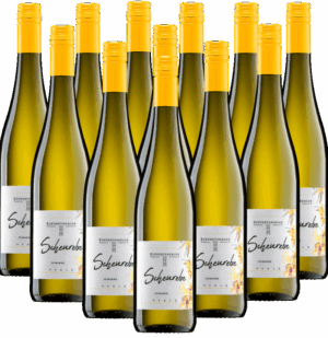 Ruppertsberger Scheurebe Kabinett feinherb 12er Weinpaket 2024 Pfalz