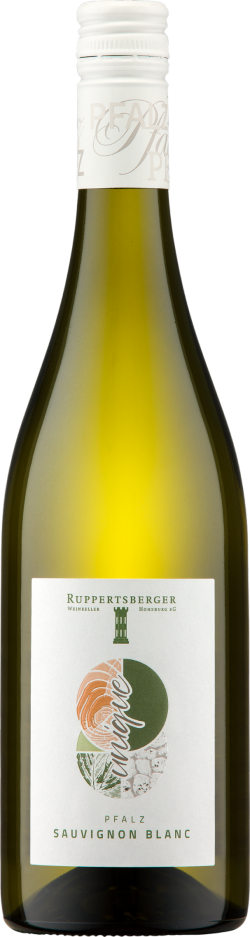 Ruppertsberger Sauvignon Blanc trocken BIO Unique QW 2024 Pfalz