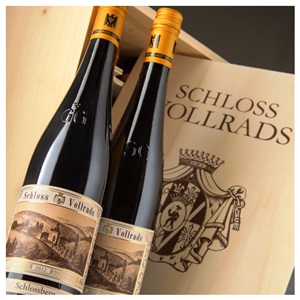 Weingut Schloss Vollrads