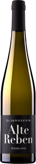 Markus Schneider Riesling Alte Reben trocken QbA Pfalz