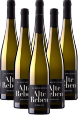 Markus Schneider Alte Reben Riesling trocken Pfalz 6er Angebot