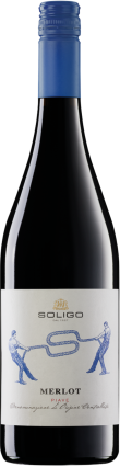 Soligo Merlot del Piave Rosso DOC Venetien Italien