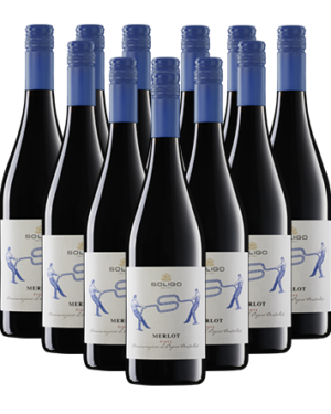 Soligo Merlot Rosso DOC Italien 12er Angebot