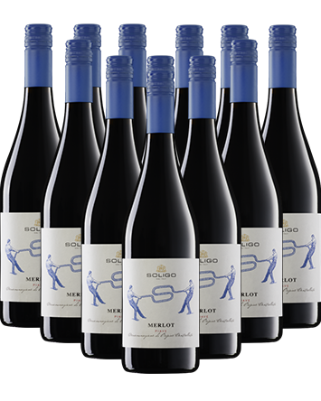 Soligo Merlot Rosso DOC Italien 12er Angebot Soligo Merlot Rosso DOC Italien 12er Angebot