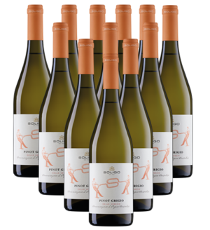 Soligo Pinot Grigio Bianco 12er Weinpaket Venetien 2025 Italien
