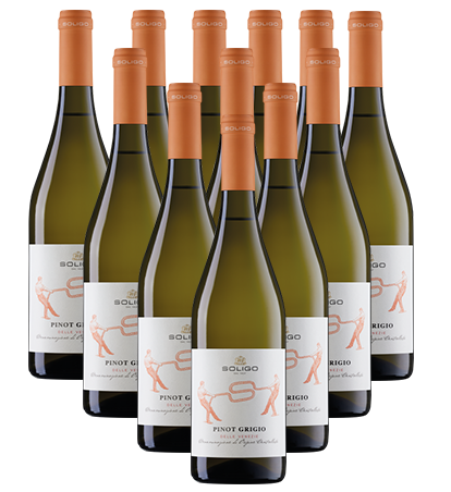 Soligo Pinot Grigio Bianco IGT Italien 12er Angebot Soligo Pinot Grigio Bianco IGT Italien 12er Angebot