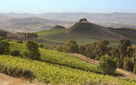 Tasca d'Almerita