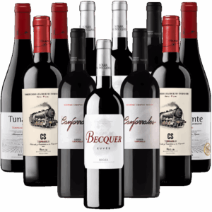 Tempranillo Probierpaket Tintos aus Spanien 12er Angebot