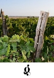 Tenuta Giustini