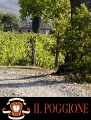 Tenuta IL Poggione