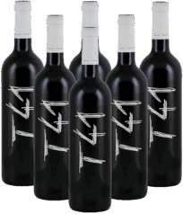 Clos L'Asentiu Tina 41 Tinto Priorat 6er Angebot Vall Llach Spanien