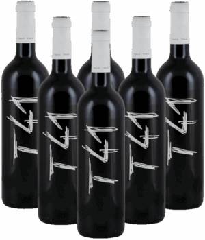 Tina 41 Clos L'Asentiu Priorat 6er Weinpaket Vall Llach 2023 Spanien