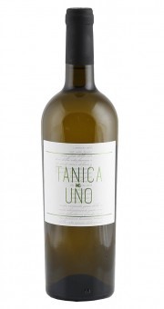 Tollo Bianco Tanica No Uno Chardonnay d'Abruzzo IGP 2024 Italien