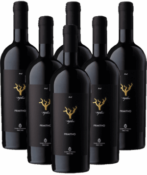 Sampietrana Trefilari Primitivo Salento 6er Weinpaket Apulien 2024 Italien