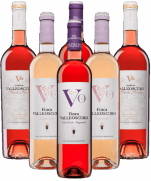 Valleoscuro VO Rosados Probierpaket Otero aus Spanien 6er Angebot