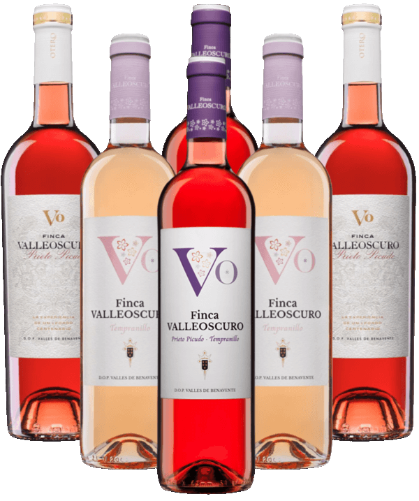 Valleoscuro VO Rosado Probierpaket Otero Spanien 6er Angebot Valleoscuro VO Rosado Probierpaket Otero Spanien 6er Angebot
