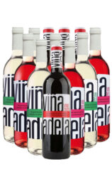 Viña Adela Weine Aldeanueva Spanien 12er Angebot
