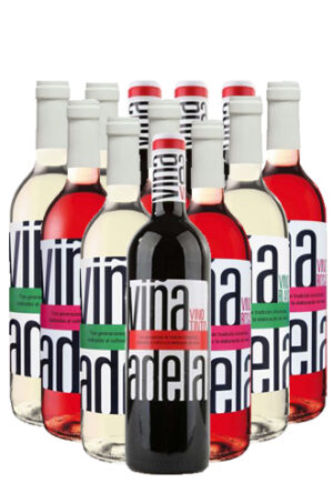 Viña Adela Weine Aldeanueva Spanien 12er Angebot