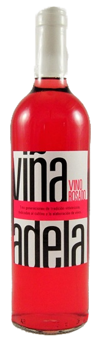 Vina Adela Rosado Vinedos de Aldeanueva Spanien