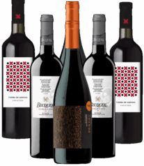 Vino Ecologico Tinto Probierpaket Rotwein Spanien 6er Angebot BIO