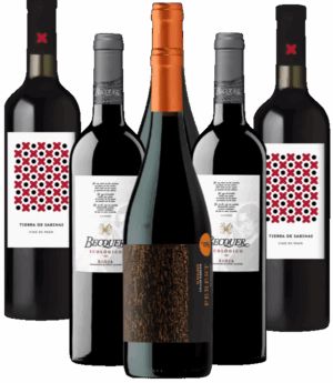 Vino Ecologico Tinto Probierpaket Rotwein Spanien 6er Angebot BIO