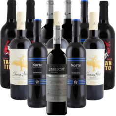 Vino Tinto Probierpaket Rotwein Spanien 12er Angebot