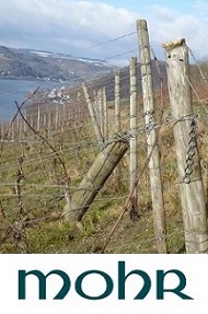 Weingut Mohr